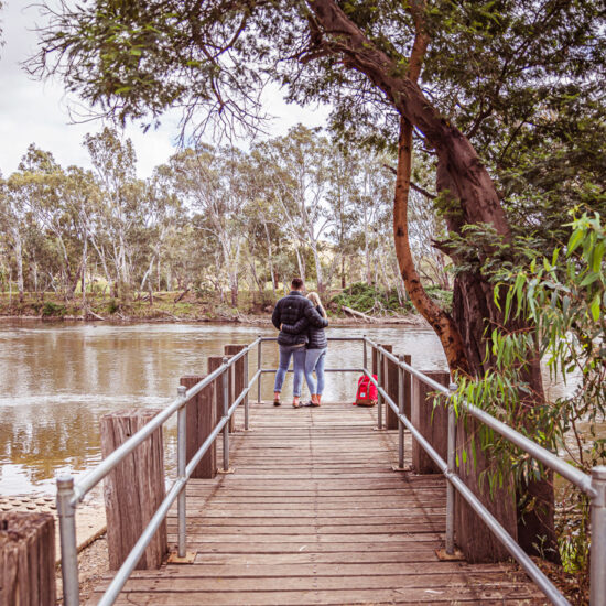 Discovering Nature’s Gems throughout Seymour